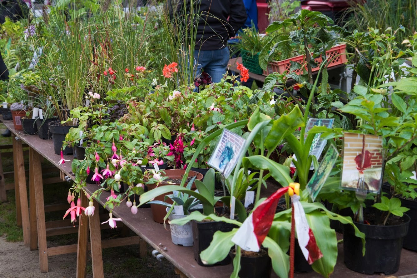 Plantesalg