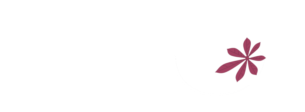 Tambours Have - logo